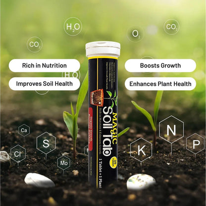 EcoBloom™ | Magic Plant Soil Tablets 🌱✨ (Buy 1 Get 1 Free 🔥🔥)